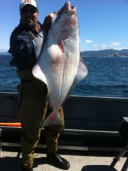 dory halibut 065