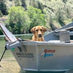 Jax in the boat